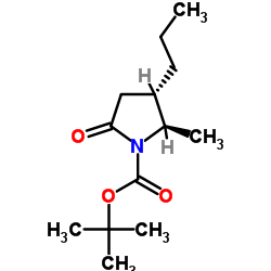 1-PYRROLIDINECARBOXYLIC ACID, 2-METHYL-5-OXO-3-PROPYL-, 1,1-DIMETHYLETHYL ESTER, (2R,3S)-REL-结构式