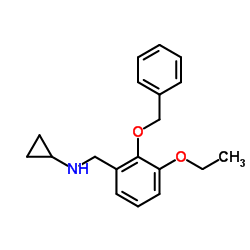 N-[2-(Benzyloxy)-3-ethoxybenzyl]cyclopropanamine Structure