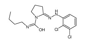 N-butyl-2-[(2,3-dichlorophenyl)hydrazinylidene]pyrrolidine-1-carboxamide Structure