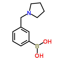 [3-(1-Pyrrolidinylmethyl)phenyl]boronic acid structure