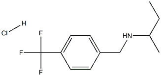 (丁-2-基)({[4-(三氟甲基)苯基]甲基})胺盐酸盐图片