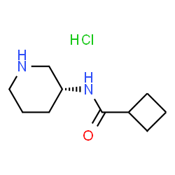 (R)-N-(Piperidin-3-yl)cyclobutanecarboxamide hydrochloride picture
