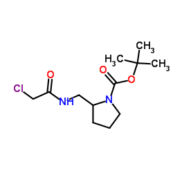 2-[(2-Chloro-acetylamino)-Methyl]-pyrrolidine-1-carboxylic acid tert-butyl ester Structure