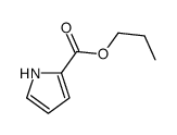 1H-Pyrrole-2-carboxylicacid,propylester(9CI) Structure