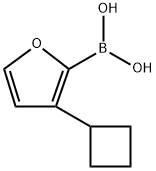 3-(Cyclobutyl)furan-2-boronic acid Structure