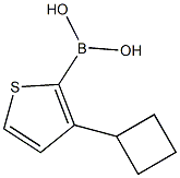 3-(Cyclobutyl)thiophene-2-boronic acid图片