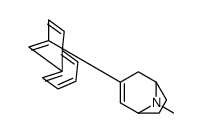 8-methyl-3-naphthalen-2-yl-8-azabicyclo[3.2.1]oct-3-ene结构式
