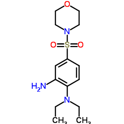 N1,N1-DIETHYL-4-(MORPHOLINE-4-SULFONYL)-BENZENE-1,2-DIAMINE structure