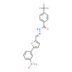 4-tert-butyl-N'-{(E)-[5-(3-nitrophenyl)furan-2-yl]methylidene}benzohydrazide结构式