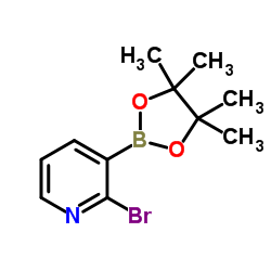 2-溴-3-(4,4,5,5-四甲基-1,3,2-二氧硼戊环-2-基)吡啶图片
