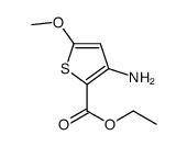 ethyl 3-amino-5-methoxythiophene-2-carboxylate结构式