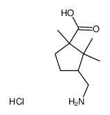 α-aminocampholic acid Structure