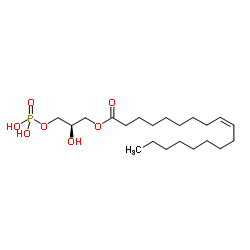 1-Oleoyl lysophosphatidic acid结构式