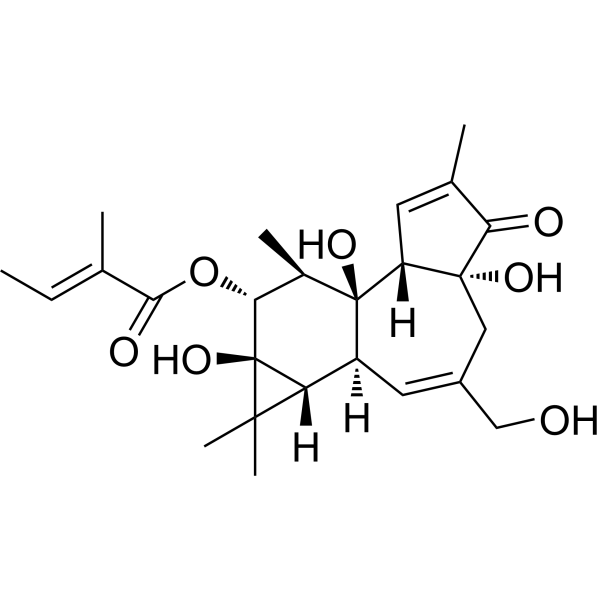 Phorbol 12-tiglate Structure