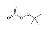 (2-methylpropan-2-yl)oxy nitrate结构式