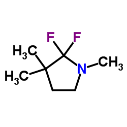 Pyrrolidine, 2,2-difluoro-1,3,3-trimethyl- (9CI) structure