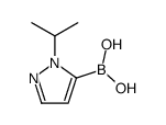 1-Isopropylpyrazole-5-boronic Acid picture
