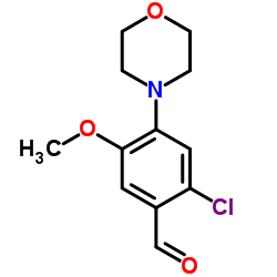 2-CHLORO-5-METHOXY-4-MORPHOLIN-4-YL-BENZALDEHYDE picture