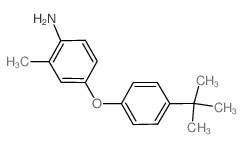 4-[4-(tert-Butyl)phenoxy]-2-methylphenylamine Structure