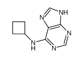 N-cyclobutyl-7H-purin-6-amine结构式