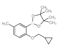 2-Cyclopropylmethoxy-5-methylphenylboronic acid pinacol ester结构式