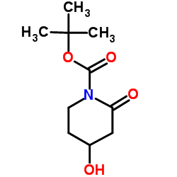 4-羟基-2-氧代哌啶-1-羧酸叔丁酯结构式