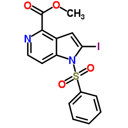 Methyl 2-iodo-1-(phenylsulfonyl)-1H-pyrrolo[3,2-c]pyridine-4-carboxylate结构式