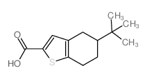 5-叔丁基-4,5,6,7-四氢-1-苯并噻吩-2-羧酸图片