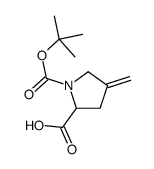 1-(叔丁氧基羰基)-4-亚甲基吡咯烷-2-羧酸结构式