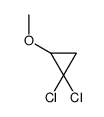 1,1-dichloro-2-methoxycyclopropane Structure