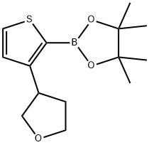 3-(Oxolan-3-yl)thiophene-2-boronic acid pinacol ester图片
