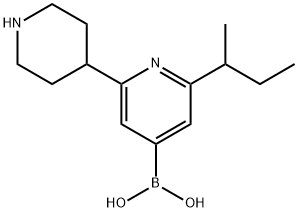 2-(sec-Butyl)-6-(piperidin-4-yl)pyridine-4-boronic acid结构式