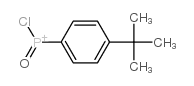 chloro-oxo-(4-tert-butylphenyl)phosphanium Structure