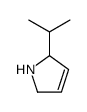 2-isopropyl-2,5-dihydro-1H-pyrrole(SALTDATA: FREE) structure