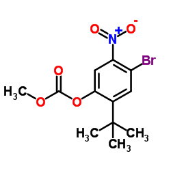 4-Bromo-2-(2-methyl-2-propanyl)-5-nitrophenyl methyl carbonate Structure