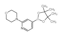 4-(4-(4,4,5,5-Tetramethyl-1,3,2-Dioxaborolan-2-Yl)Pyridin-2-Yl)Morpholine structure