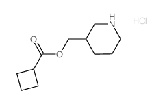 3-Piperidinylmethyl cyclobutanecarboxylate hydrochloride结构式