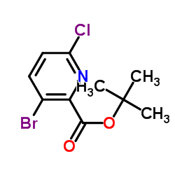 3-溴-6-氯吡啶甲酸叔丁酯图片