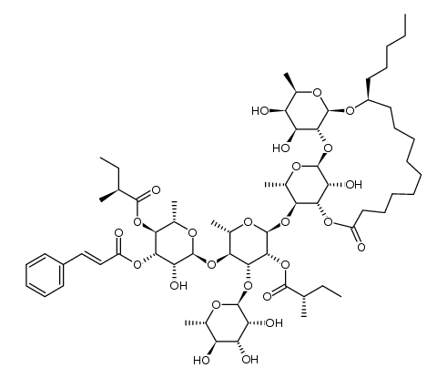 pescaprein XXVII Structure