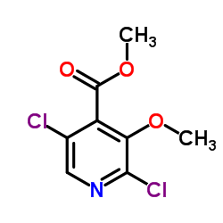 Methyl 2,5-dichloro-3-methoxyisonicotinate结构式