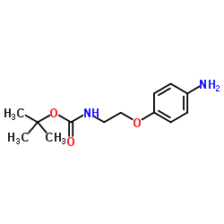 2-(4-氨基苯氧基)乙基氨基甲酸叔丁酯结构式