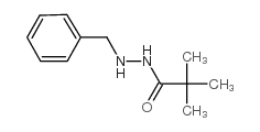 N'-benzylpivalohydrazide结构式
