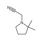2-(2,2-dimethylpyrrolidin-1-yl)ethanamine结构式