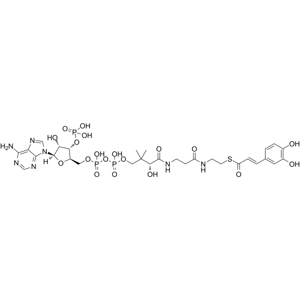 Caffeoyl-Coenzym A Structure