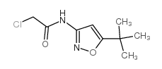 N-(5-(tert-Butyl)isoxazol-3-yl)-2-chloroacetamide Structure