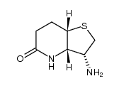 (3aS)-3t-amino-(3ar,7ac)-hexahydro-thieno[3,2-b]pyridin-5-one Structure