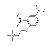 2-(2,4-dinitrophenoxy)ethyl-trimethylazanium Structure