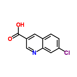 7-Chloro-3-quinolinecarboxylic acid structure