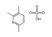 perchloric acid,2,3,6-trimethylpyridine Structure