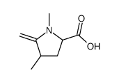 Proline, 1,4-dimethyl-5-methylene- (7CI) picture